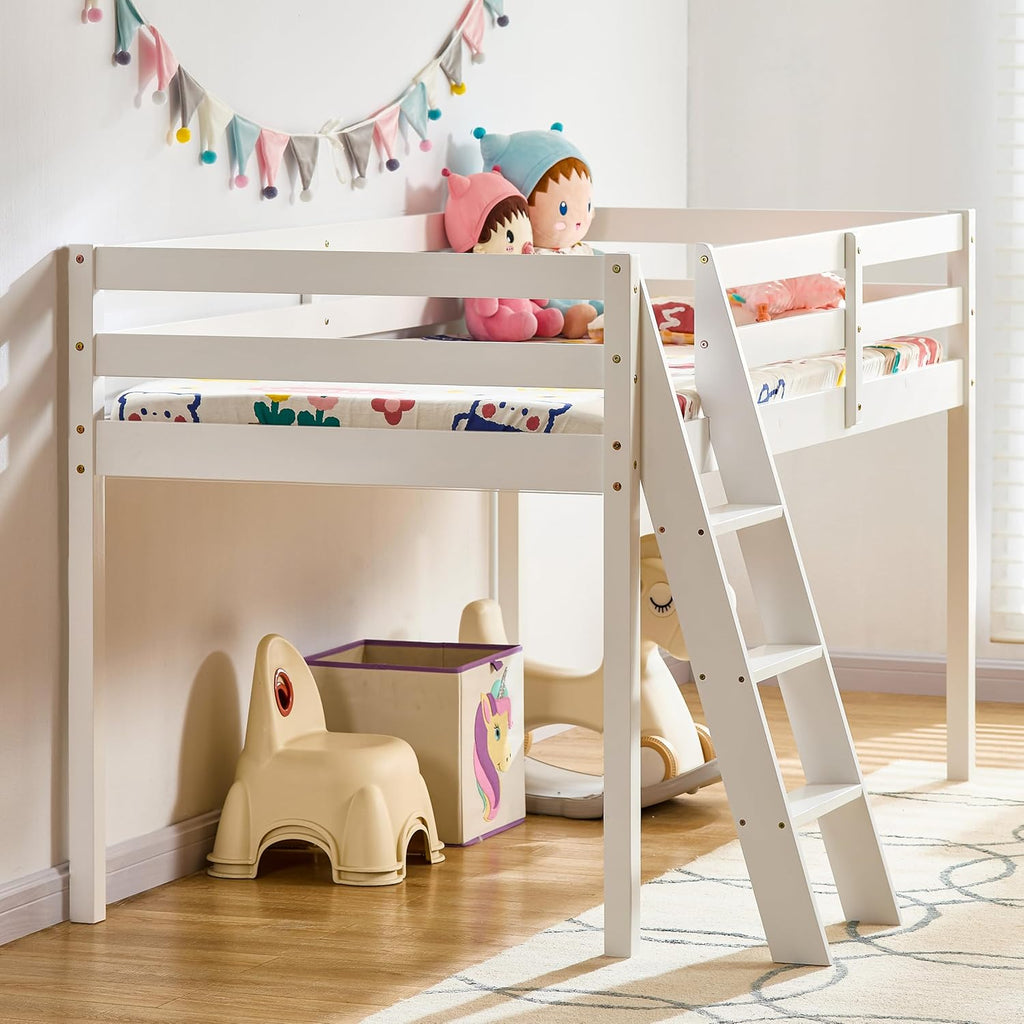 Single Bunk Bed Frame with Ladder