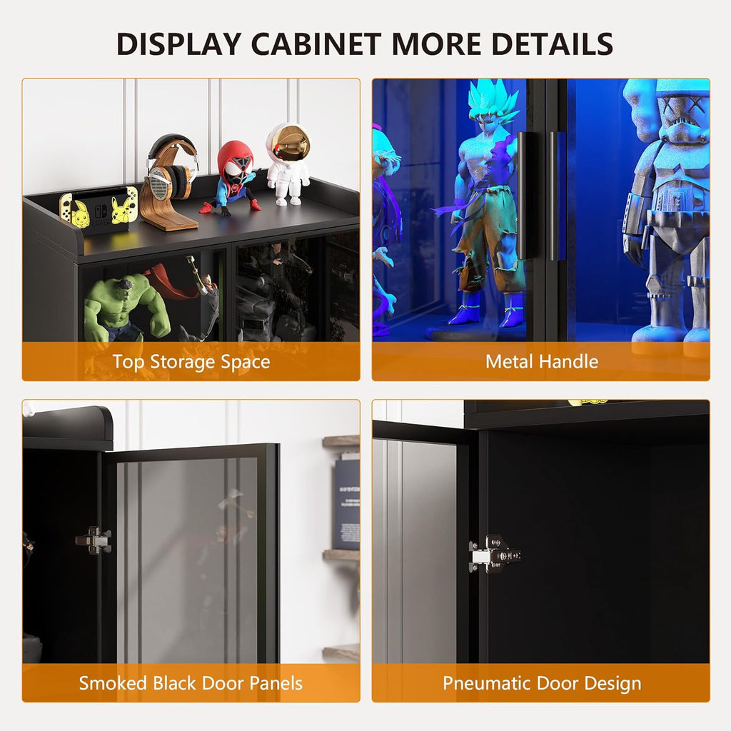 Cabinet with 2 Acrylic Doors