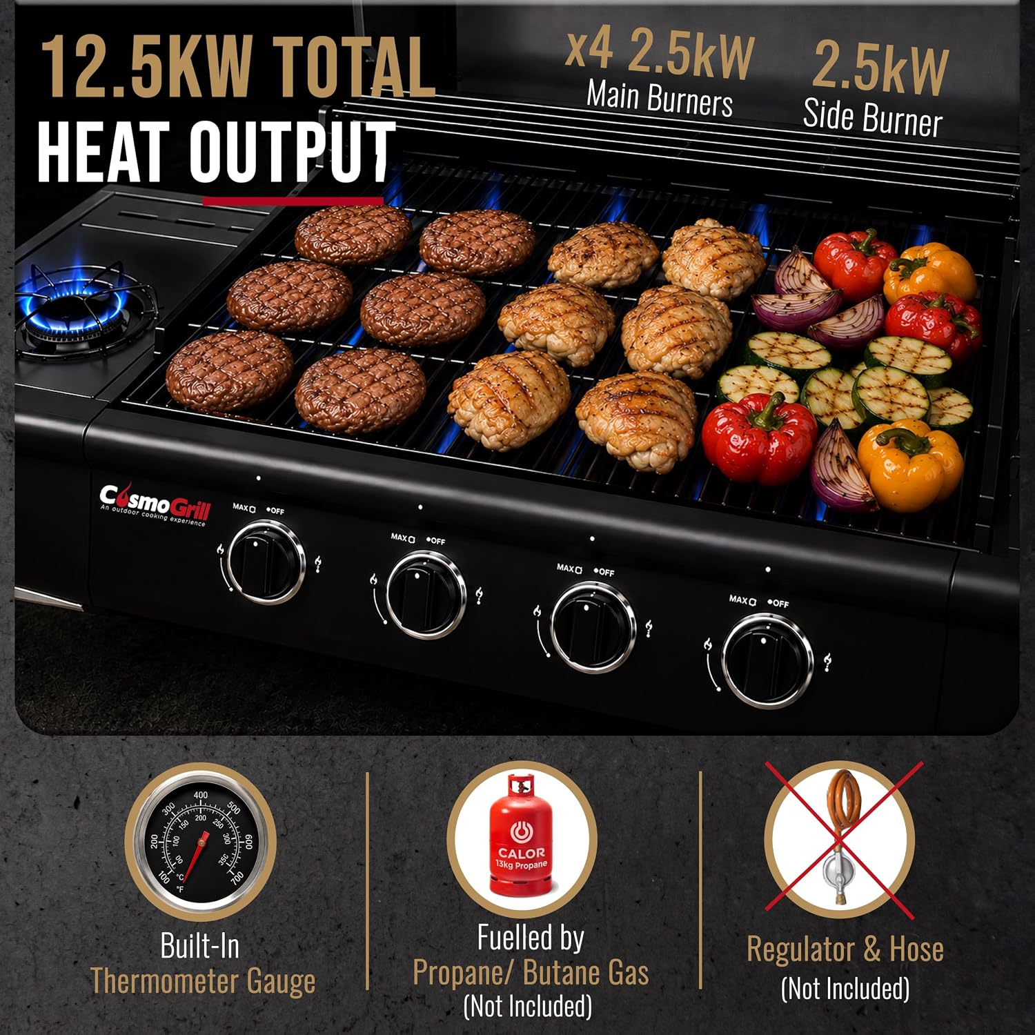 5 Gas Burner 4+1 Barbecue Grill